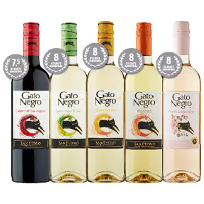 Gato Negro