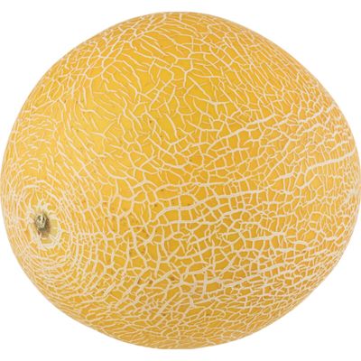 AH Galia en Cantaloupe meloen