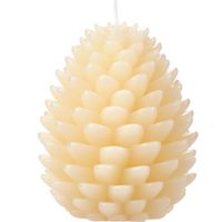 AH Excellent Vormkaars dennenappel cream