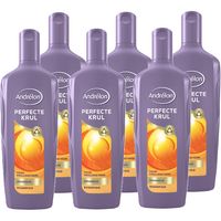 Andrelon Perfecte Krul Shampoo 6 x 300 ML