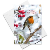 Hallmark Hangpakje Kerst roodborstje