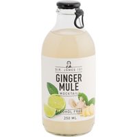 Sir. James 101 Ginger mule