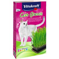Vitakraft Kattengras